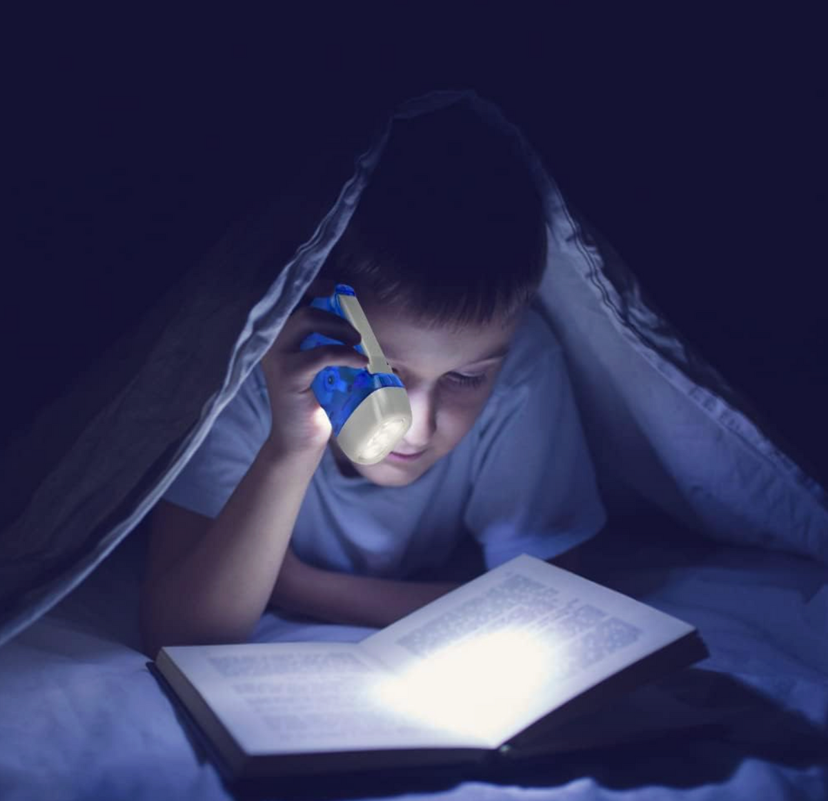 Hand Crank Flashlight with Dual LED