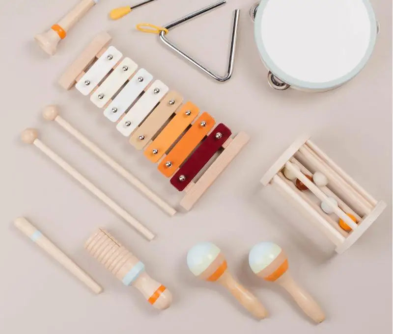 Musical Instrument Music Teaching Set, Early Education Percussion Music