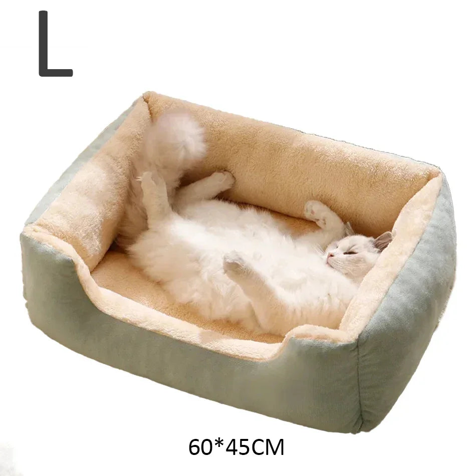 Bed for Cats Pet Products Cushions Kitten Goods Accessories Dog All Houses