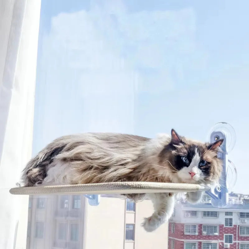 Cat Hammock Foldable Window Suction Cup Hanging Nest, Cat Sunbathing