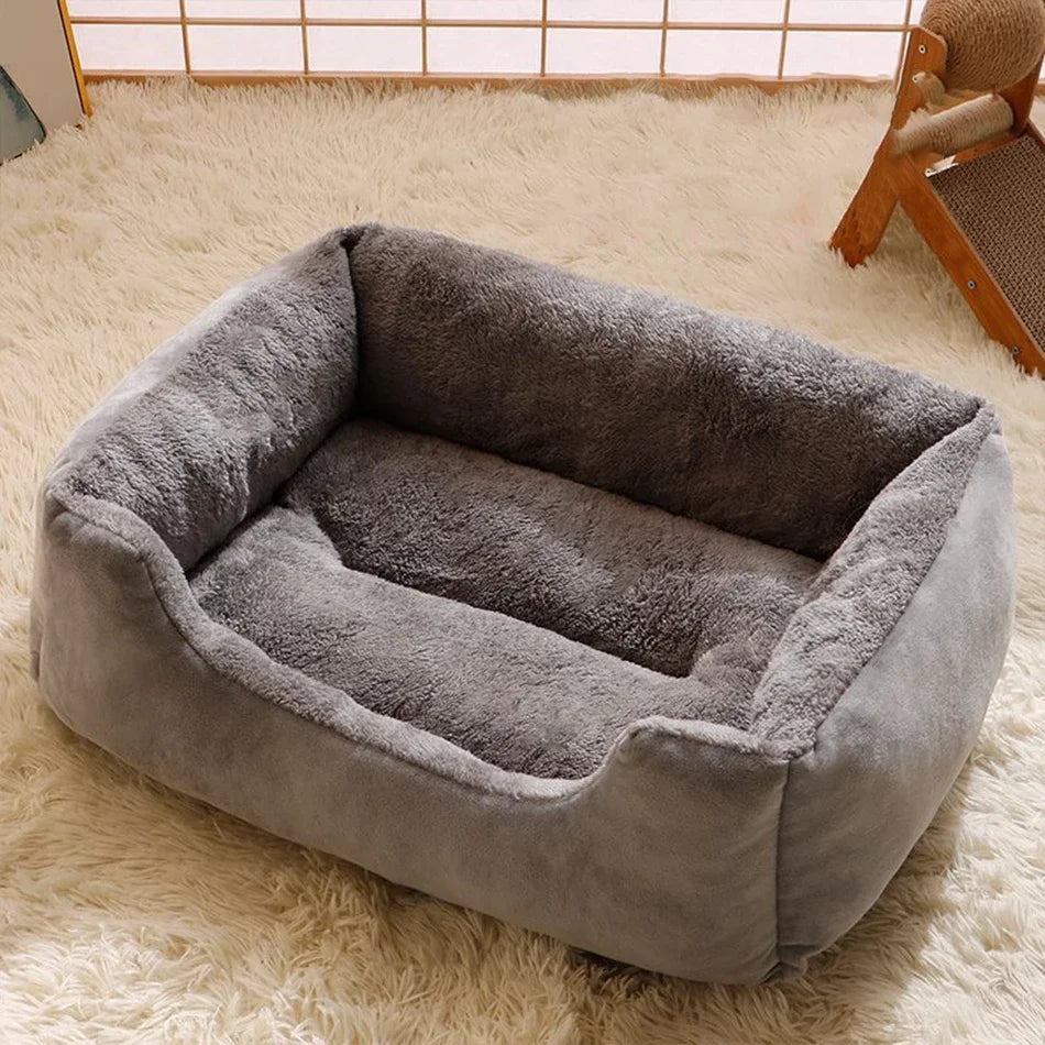 Bed for Cats Pet Products Cushions Kitten Goods Accessories Dog All Houses
