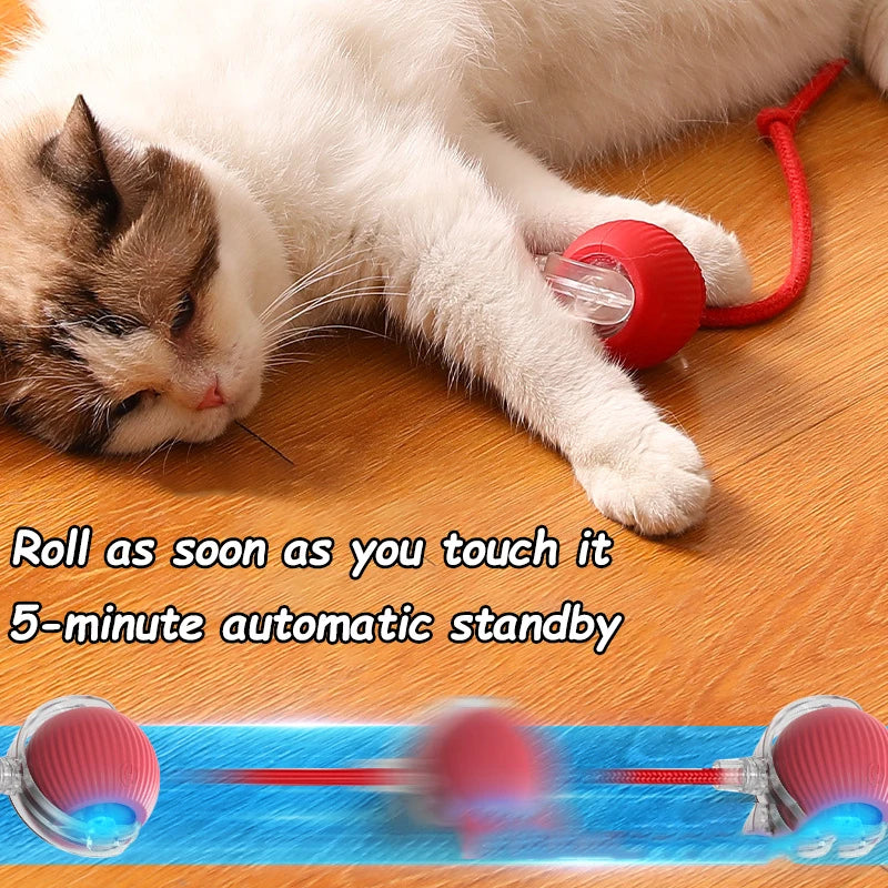 2Pcs Cat Interactive Ball Toys Automatic Rolling Ball Faux Tail