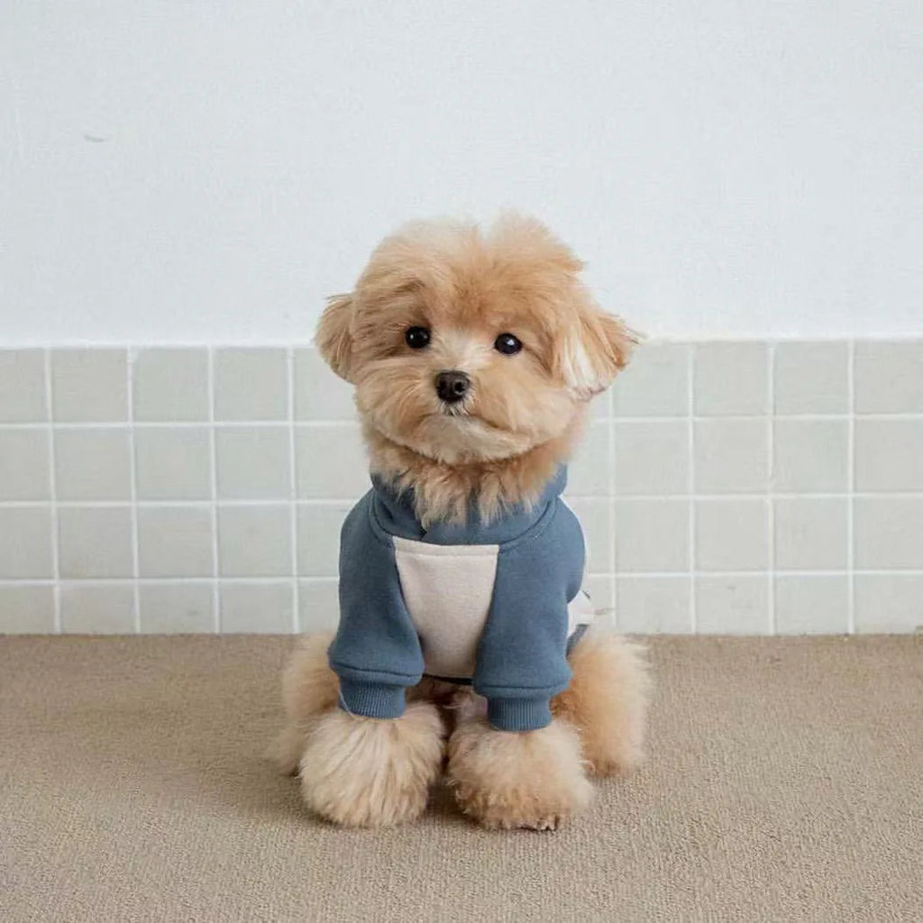 Pet Autumn/Winter Hoodie Warm Splicing T-shirt Teddy Yorkshire Small Dog