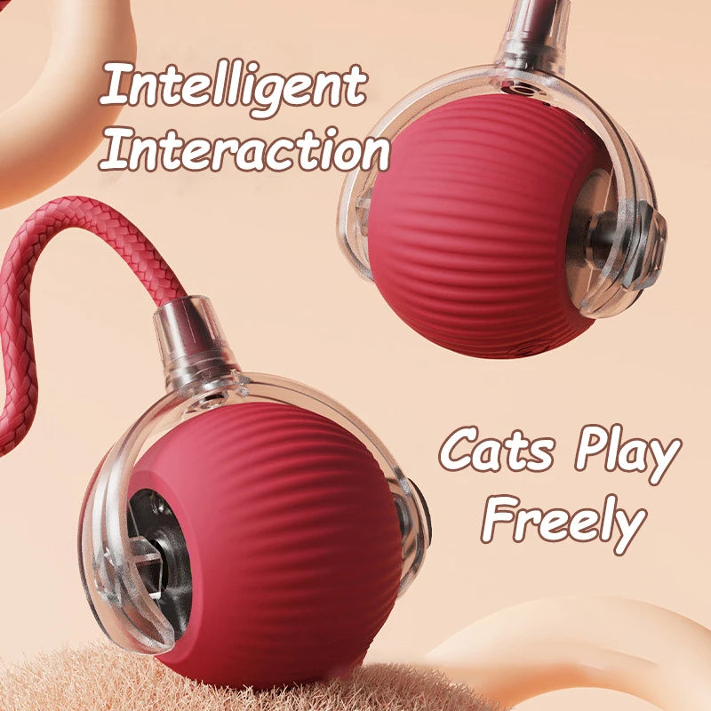 2Pcs Cat Interactive Ball Toys Automatic Rolling Ball Faux Tail