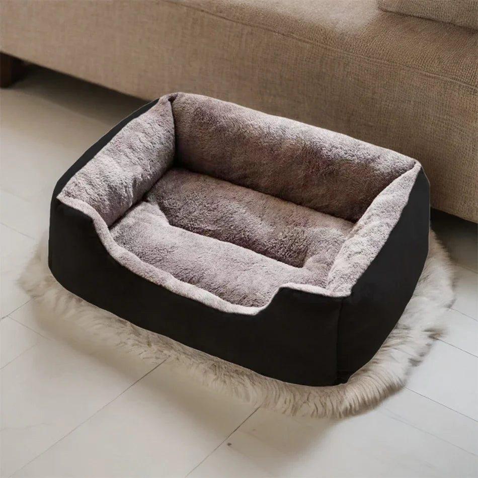 Bed for Cats Pet Products Cushions Kitten Goods Accessories Dog All Houses