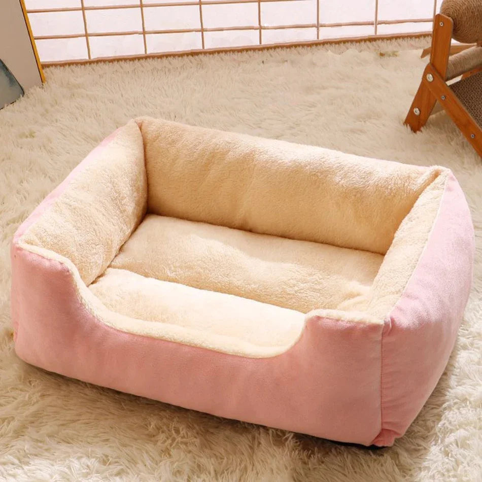 Bed for Cats Pet Products Cushions Kitten Goods Accessories Dog All Houses
