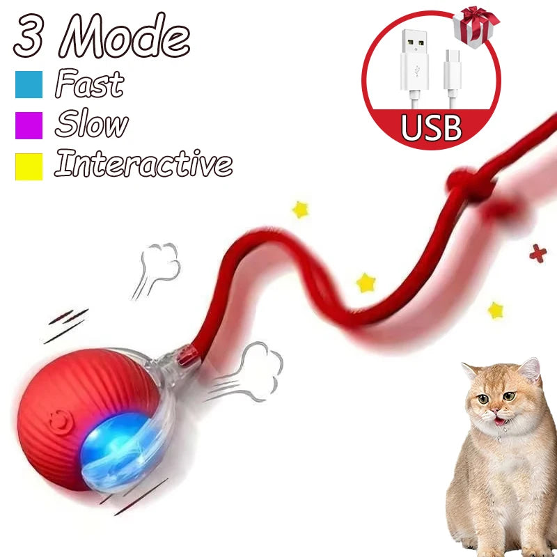 2Pcs Cat Interactive Ball Toys Automatic Rolling Ball Faux Tail