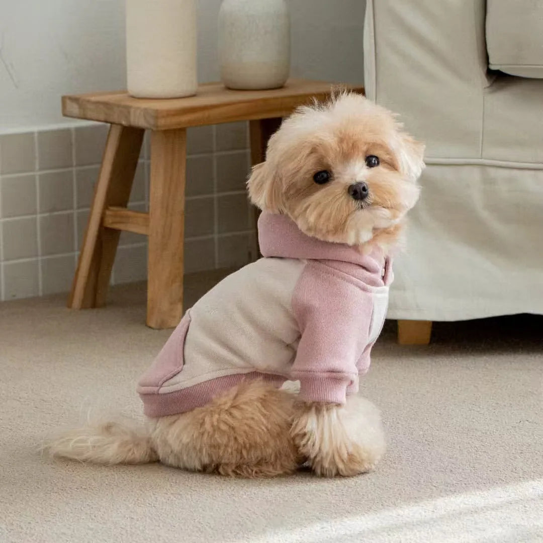 Pet Autumn/Winter Hoodie Warm Splicing T-shirt Teddy Yorkshire Small Dog