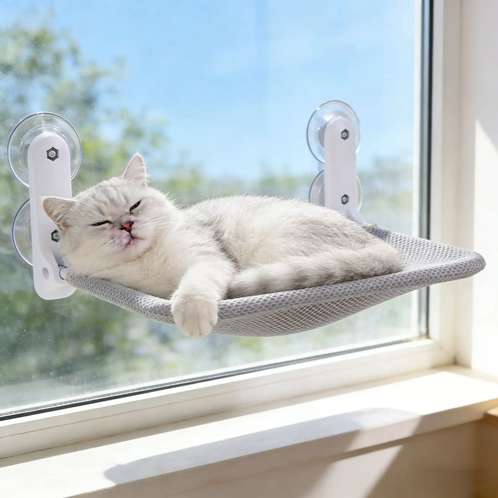 Cat Hammock Foldable Window Suction Cup Hanging Nest, Cat Sunbathing