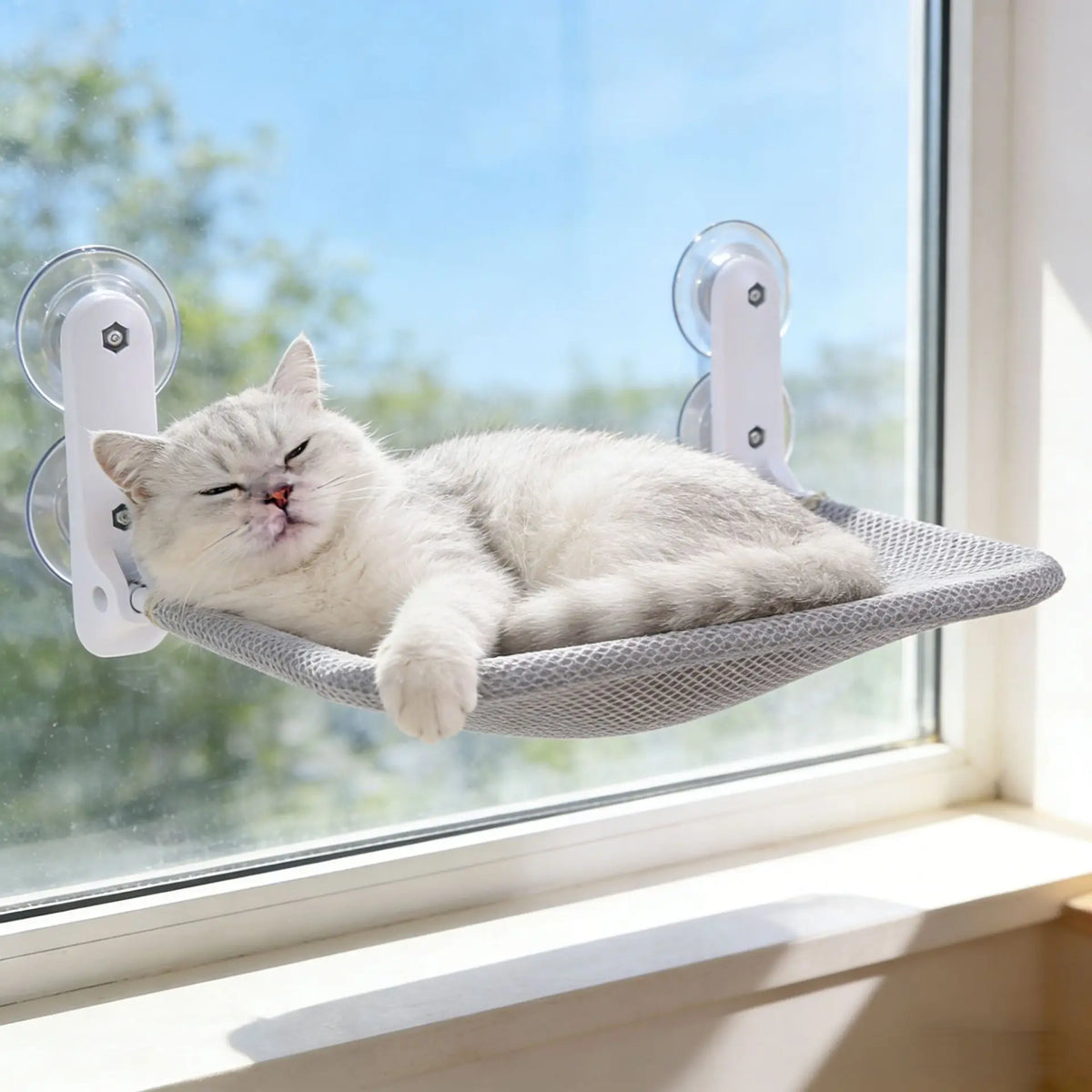 Cat Hammock Foldable Window Suction Cup Hanging Nest, Cat Sunbathing