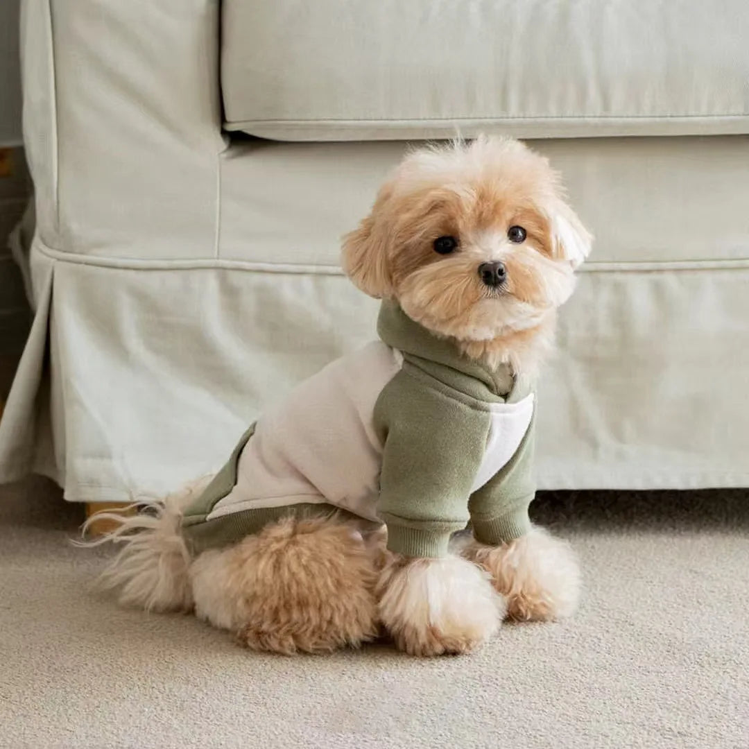 Pet Autumn/Winter Hoodie Warm Splicing T-shirt Teddy Yorkshire Small Dog