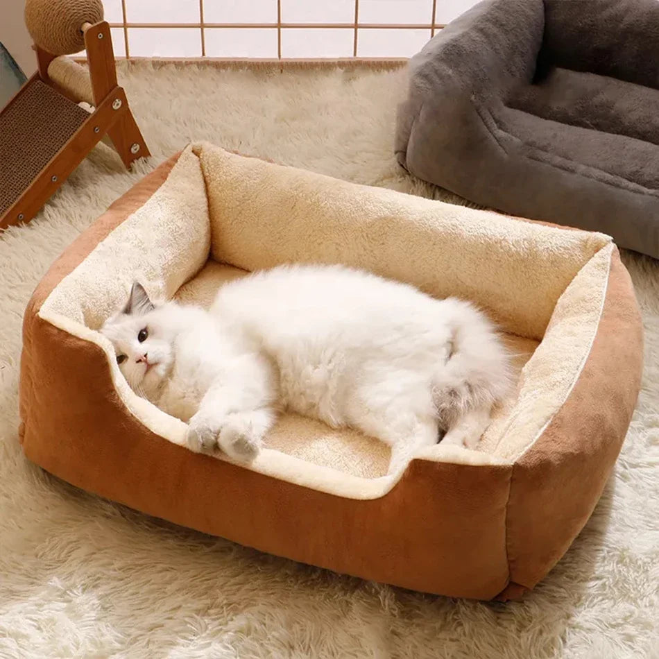 Bed for Cats Pet Products Cushions Kitten Goods Accessories Dog All Houses