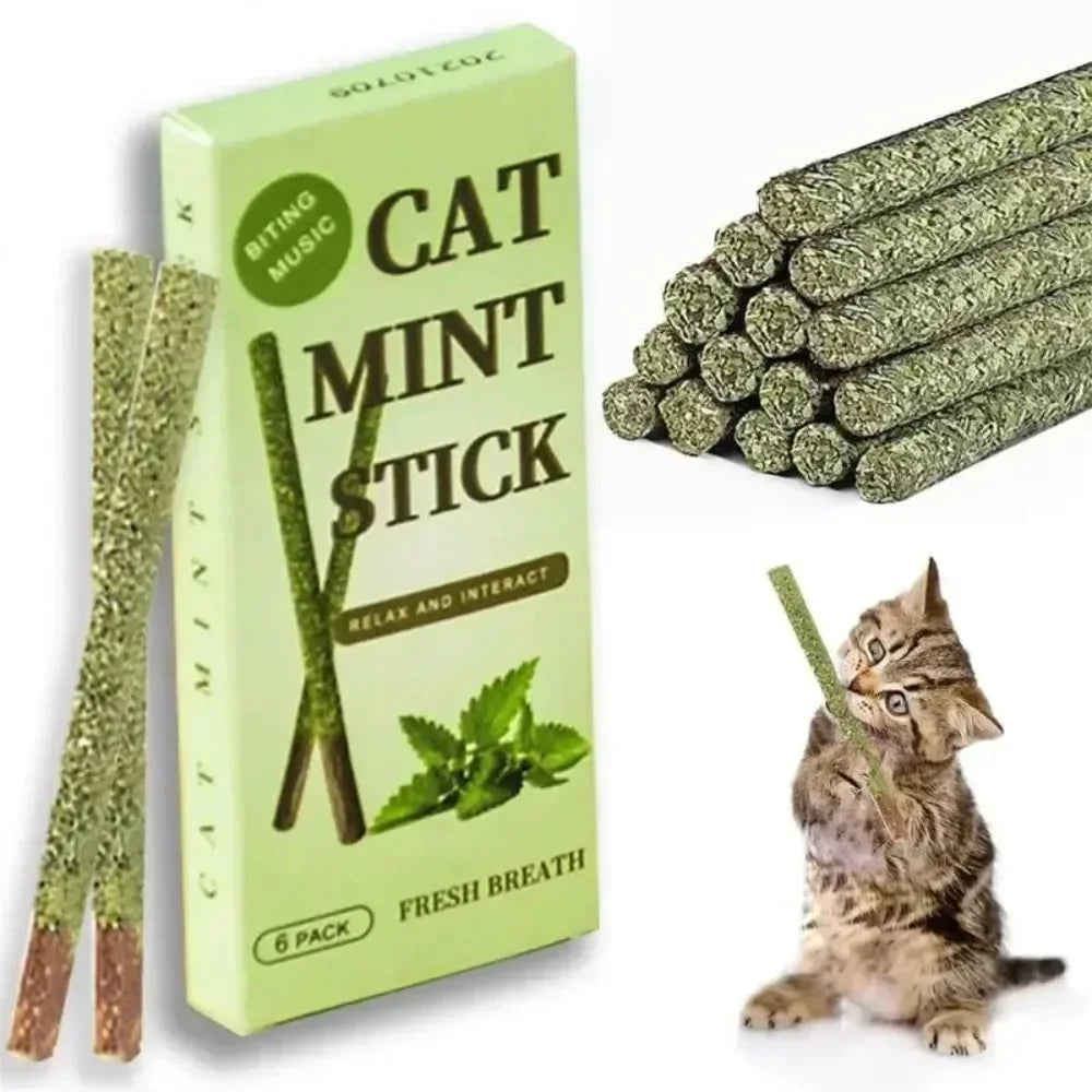 6pcs Natural Matatabi Cat Stick Mint Caught Bite Excited Rods Silvervine