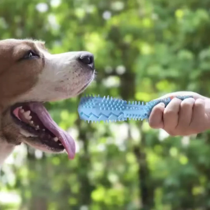 Dog Teething Toy Chew Stick Bite Resistant Fun Leak Proof Food Toy Pet
