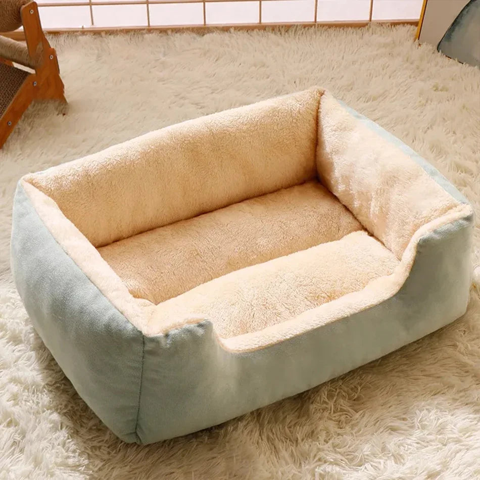 Bed for Cats Pet Products Cushions Kitten Goods Accessories Dog All Houses
