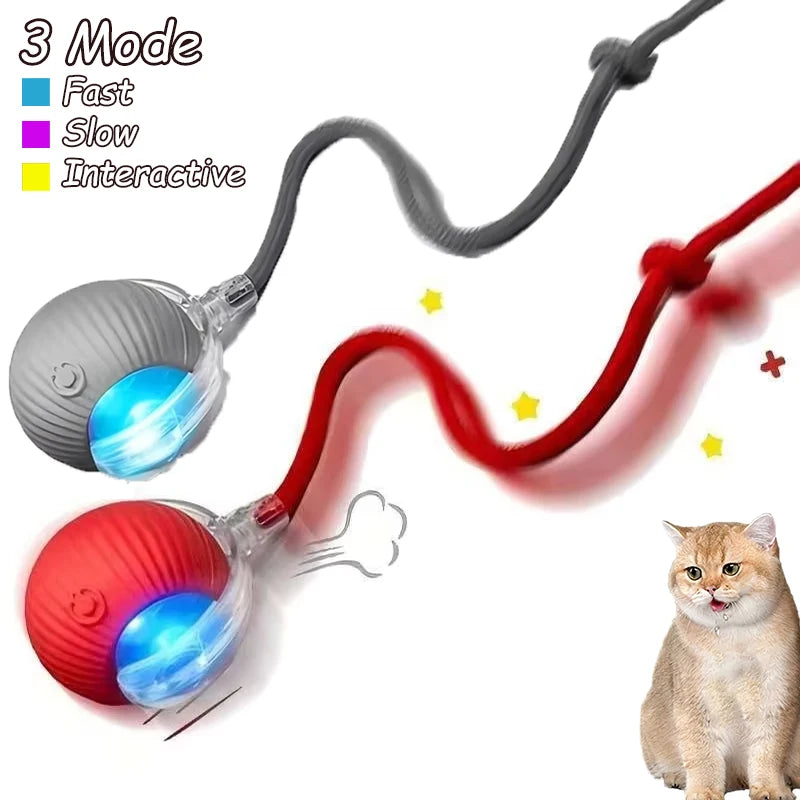 2Pcs Cat Interactive Ball Toys Automatic Rolling Ball Faux Tail