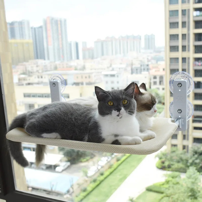 Cat Hammock Foldable Window Suction Cup Hanging Nest, Cat Sunbathing
